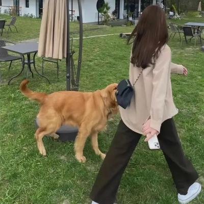 鬼马狂想曲